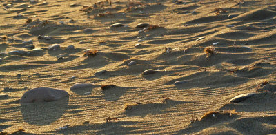 sand, stone & shadow - Barry