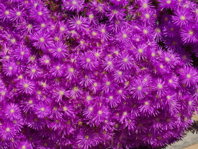 g2/07/527607/3/147411209.Y4pCjICJ.jpg