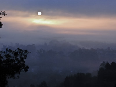 Fog in the morning. TonySx