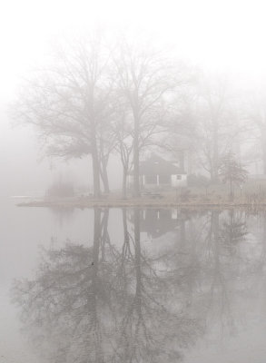 1st Place, C198, 50 shades of grey: Pond Reflection - Brad
