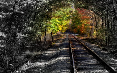 Autumn receding down the tracks (C170) - Conrad Ruppert (CJackJr)