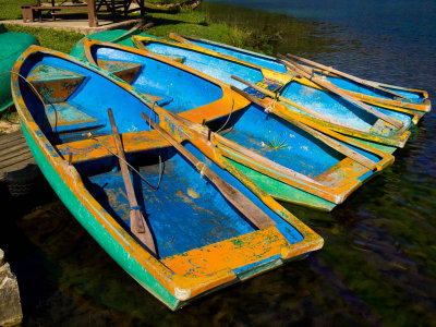 Cuban Row Boats - Brad