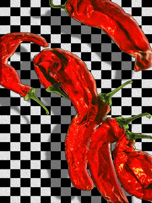 Checker Peppers by Paul Wear