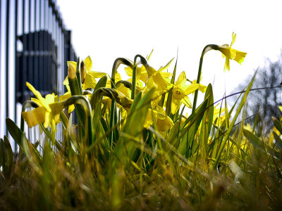 Spring - A new begining - Michael