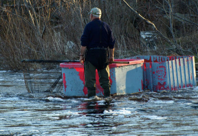 Kiack Fishing on the Tusket River - Brenda
