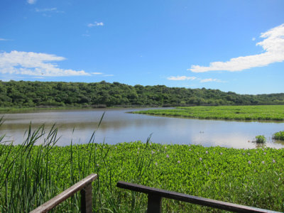 Parque Nacional Pre-Delta
