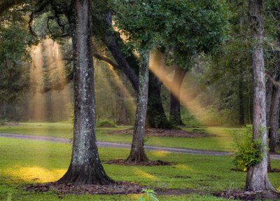 Enlightened #091