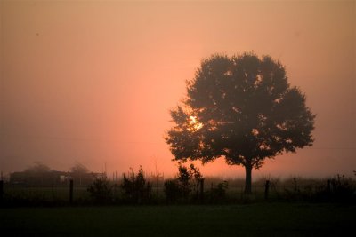 Sunrise #057