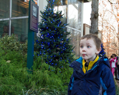 5548-ChristmasTown-121201.jpg