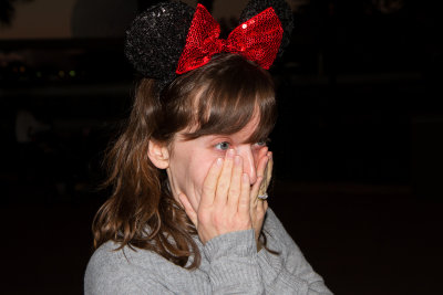 6415-Disney_2012_Christmas-121222.jpg