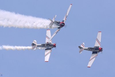 SJN/T-6 (Texan) - Geico Skytypers