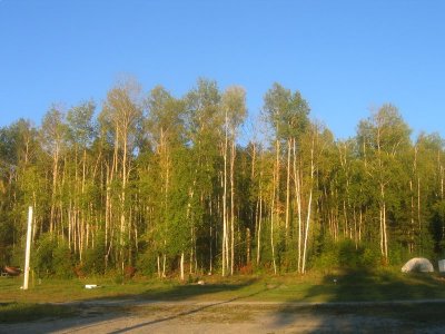 Au terrain de camping