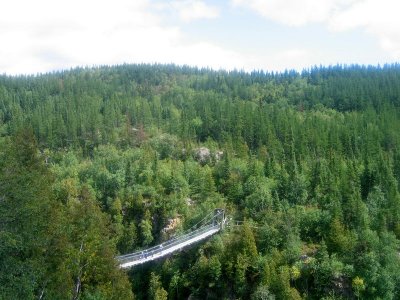 Pont suspendu, sentier de la Traverse