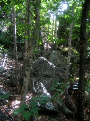 IMG_2217.JPG