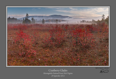 Cranberry Glades AM 1.jpg