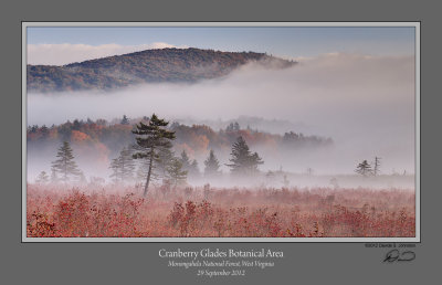Cranberry Glades 3 Crop.jpg