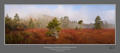 Cranberry Glades 5 Clearing Fog.jpg