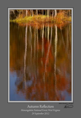 Autumn Reflection Hills Creek Pond.jpg