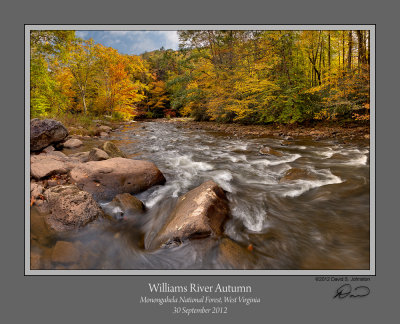 Williams River Autumn 1.jpg