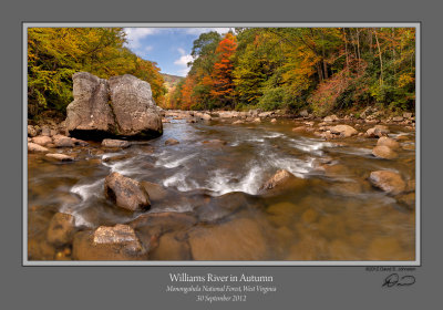 Williams River Autumn 2.jpg