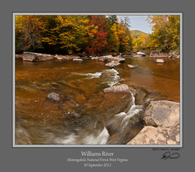 Williams River Autumn 5.jpg