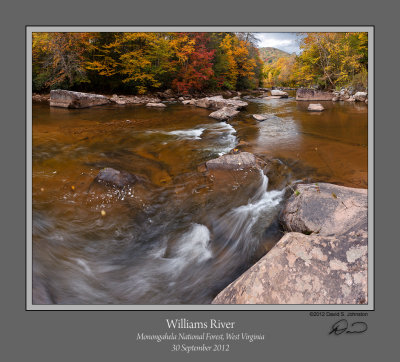 Williams River Autumn 5b.jpg