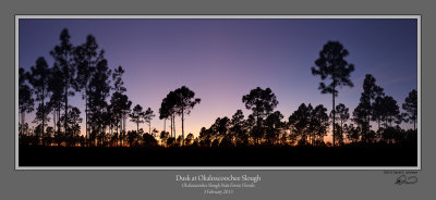 Dusk Okaloacoochee Slough 2.jpg