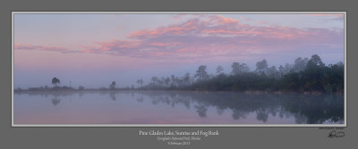 Pine Glades Sunrise Fog 1 R Crop 2.jpg