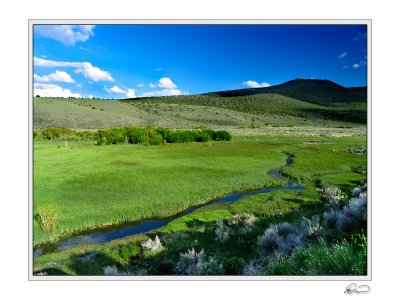 Meadow, Indian Creek and Black Mountain.jpg