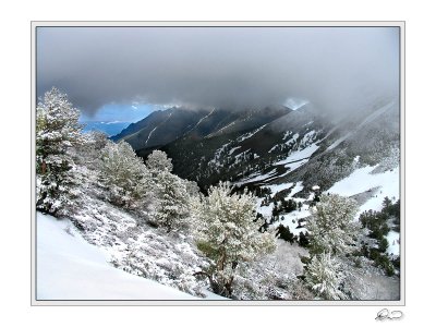 North Twin River Canyon.jpg