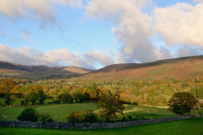 A Touch of Autumn