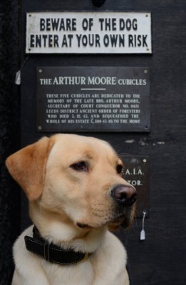 Beware of the Dog....