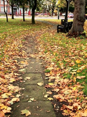Leafy Path