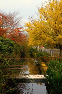 View from the Bridge