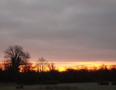 First Light