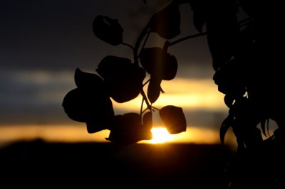 Running out of Light