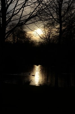 Seeing the Light