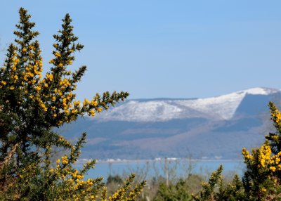 Snow on the Mournes