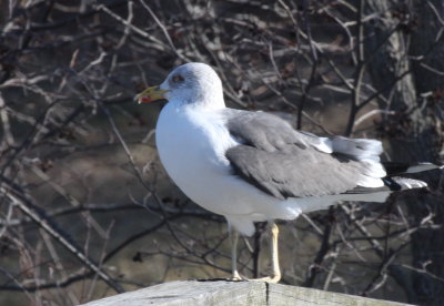 2013 Photos taken in Massachusetts - not Duxbury