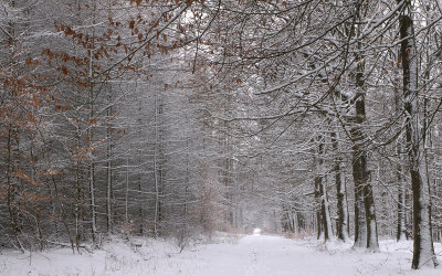 Winter Lonnekerberg