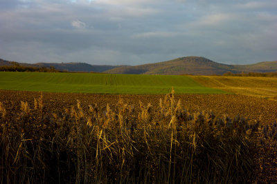 Vosges du Nord, low sun