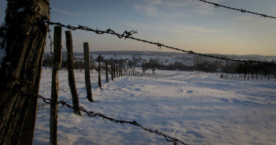 Preuschdorf through the wire