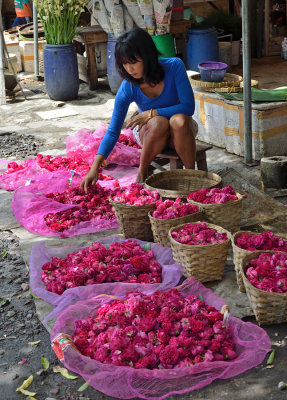 The Flower Market