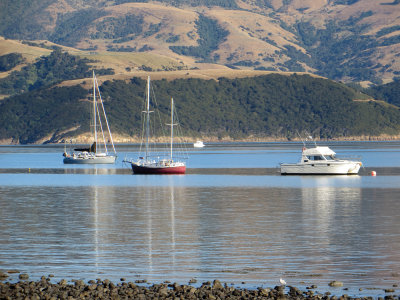 NZ 2013