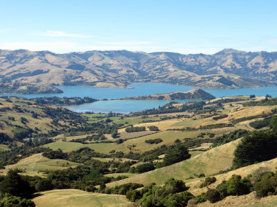 Akaroa harbor