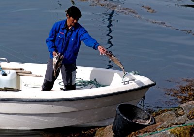 Fisherman unloads his catch