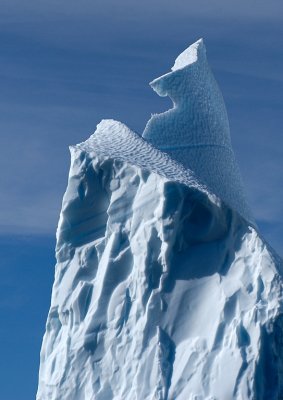 Iceberg head