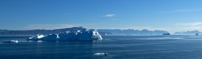 Icebergs enroute to Uummannaq
