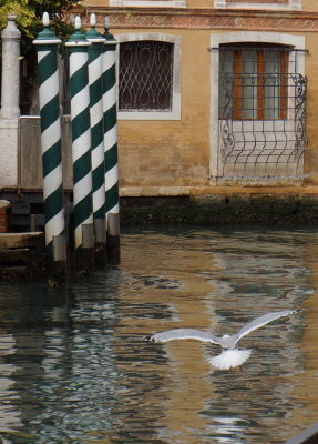 DSC01252.JPG