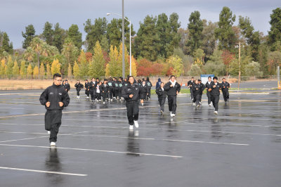 DSC_4449.jpg